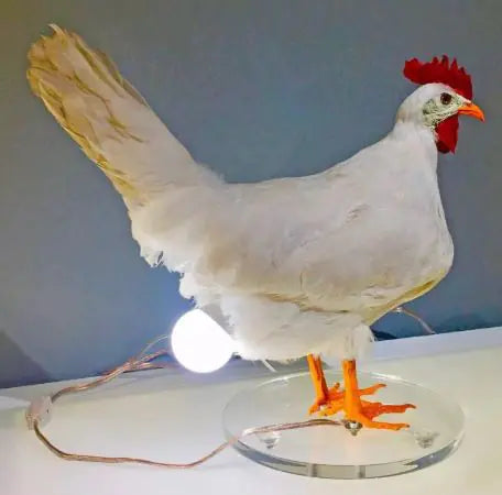 Chicken Lamp